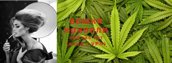 ГАЛЛЮЦИНОГЕННЫЕ ГРИБЫ Балахна