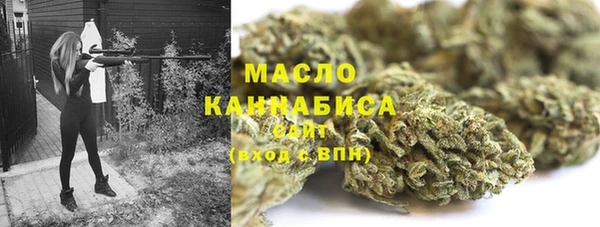 гидра Армянск